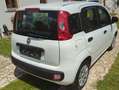 Fiat New Panda Белый - thumbnail 4