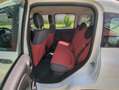 Fiat New Panda Weiß - thumbnail 16
