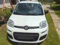Fiat New Panda Белый - thumbnail 5