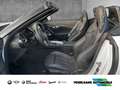 BMW Z4 HeadUp,H&KSound,LMFelge19''schwarz,LEDScheinwerfer Weiß - thumbnail 3