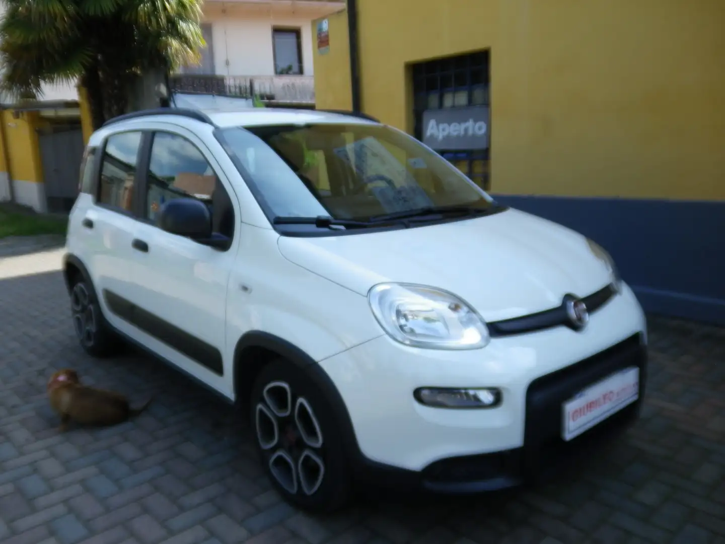 Fiat Panda 1.0 FireFly S&S Hybrid City Life Blanc - 2