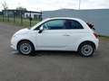 Fiat 500C 500C 1.0 Hybrid Dolcevita Navi e Clima Autom. Km0 Bianco - thumbnail 5