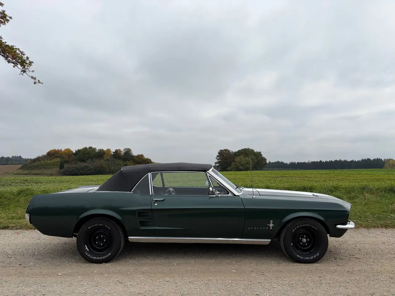 Ford Mustang Cabrio, 351cui V8, Scheibenbremse, Servo, TÜV&H, foto 6