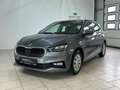 Skoda Fabia Selection 1.0 TSI DSG SHZ PDC Freisprech Grau - thumbnail 2