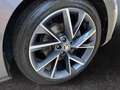 Skoda Superb Combi Sportline 2.0TDI DSG 4x4 ACC Grau - thumbnail 15