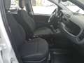 Fiat Panda Panda Mild Hybrid Weiß - thumbnail 15