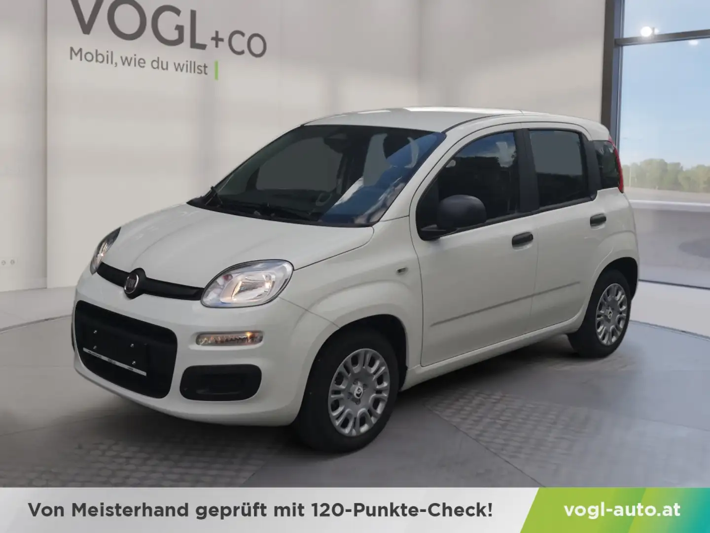 Fiat Panda Panda Mild Hybrid Weiß - 1