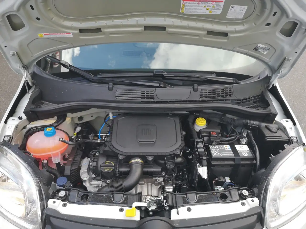 Fiat Panda Pandina Mild Hybrid 18