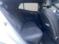 Kia Sportage 1.6 CRDi MHEV GT-line DCT PanorSunroof Bianco - thumbnail 21