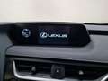 Lexus UX 250h Hybrid Executive Grigio - thumbnail 9