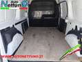 Renault Kangoo 1.5 dCi 110CV F.AP. 4p. Express Maxi Ice Blanc - thumbnail 15