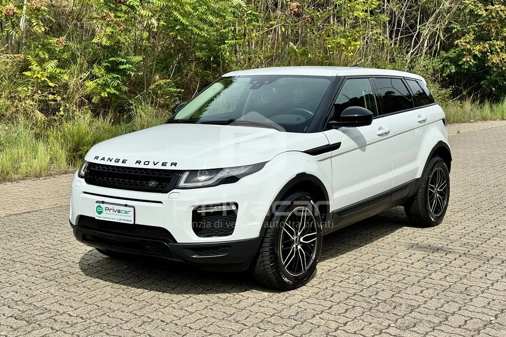 Land Rover Range Rover Evoque Range Rover Evoque 2.0 TD4 150 CV 5p. SE Dynamic Bianco - 1
