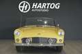 Ford Thunderbird CONVERTIBLE 4.8 V8 AUT. + HARDTOP Giallo - thumbnail 6