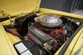 Ford Thunderbird CONVERTIBLE 4.8 V8 AUT. + HARDTOP Amarillo - thumbnail 21
