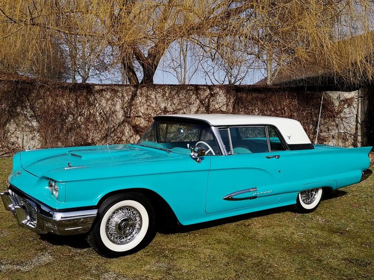 Ford Thunderbird Square Bird Blau - 1
