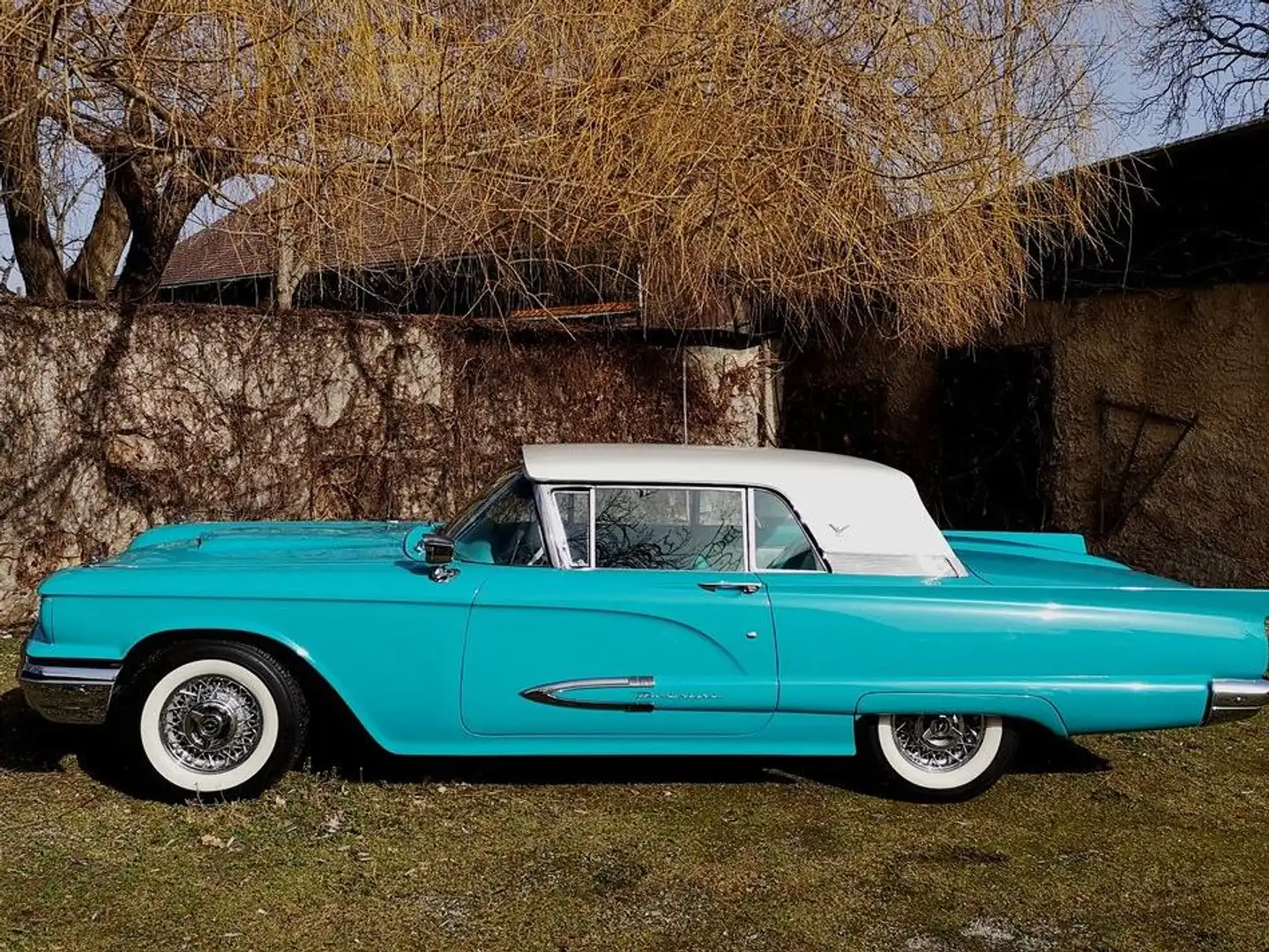 Ford Thunderbird Square Bird Blau - 2