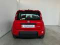 Fiat Panda 1.0 FireFly S&S Hybrid City Life Czerwony - thumbnail 6