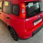 Fiat Panda 1.0 FireFly S&S Hybrid City Life Rojo - thumbnail 28