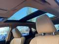 Lexus NX 350h Executive Line+360°cam+navi+se Gris - thumbnail 22