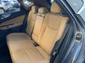 Lexus NX 350h Executive Line+360°cam+navi+se Gris - thumbnail 14