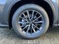 Lexus NX 350h Executive Line+360°cam+navi+se Gris - thumbnail 11