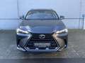 Lexus NX 350h Executive Line+360°cam+navi+se Gris - thumbnail 2