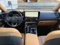 Lexus NX 350h Executive Line+360°cam+navi+se Gris - thumbnail 27