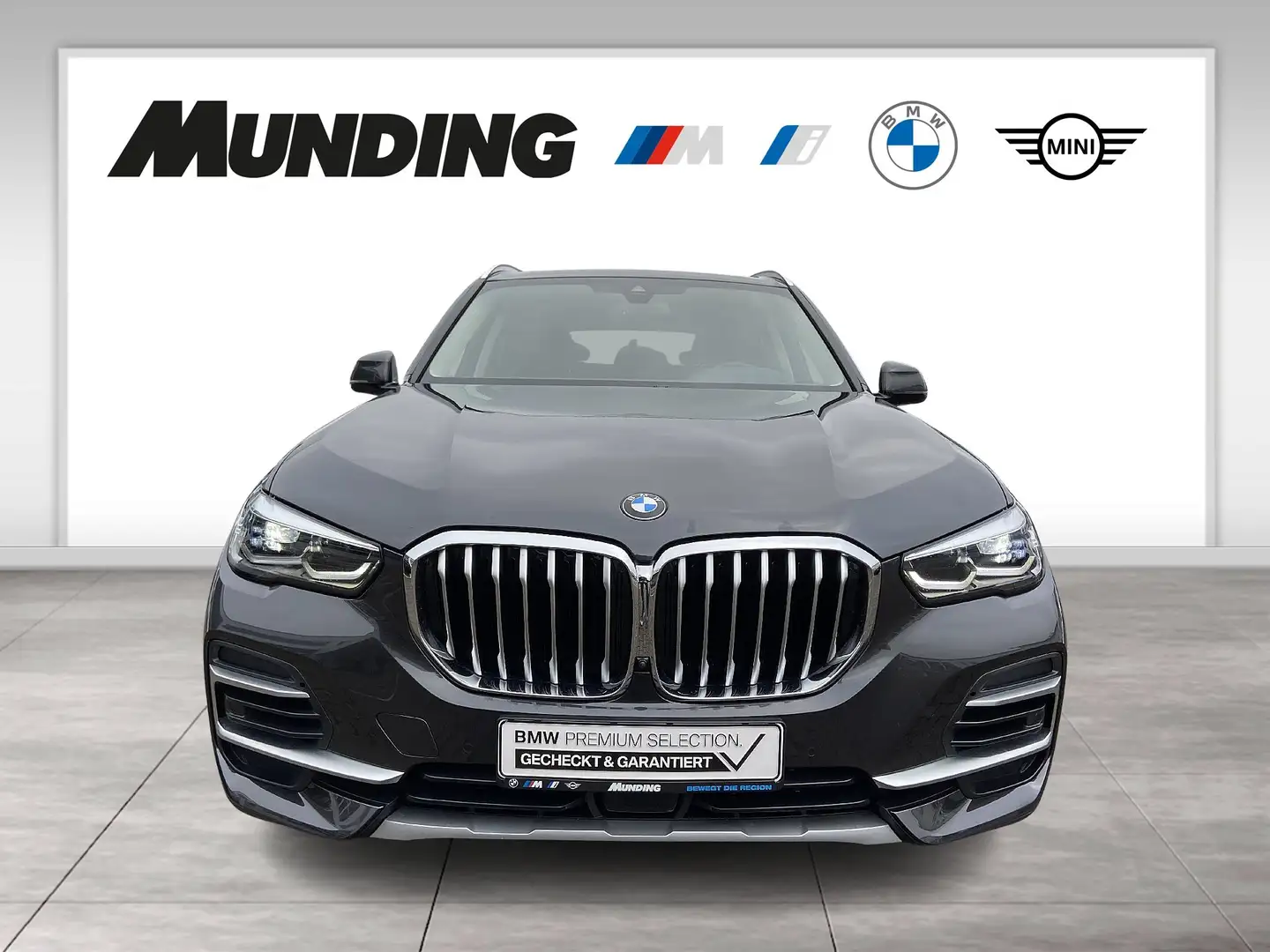 BMW X5 xDrive30d A xLine DAB|LED|WLAN|Parkassistent Gris - 2