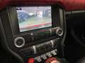 Ford Mustang MUSTANG 5.0 V8 #CERVINI VEREDELUNG - #EINMALIG Rot - thumbnail 21