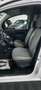 Renault Kangoo MAXI * UTILITAIRE * HISTORIQUE COMPLET * TOP ETAT Blanc - thumbnail 14