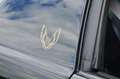 Pontiac Firebird Trans Am WS6 HO Schwarz - thumbnail 19