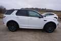 Land Rover Discovery Sport 2,0 SD4 4WD SE Aut. Weiß - thumbnail 4