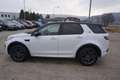 Land Rover Discovery Sport 2,0 SD4 4WD SE Aut. Weiß - thumbnail 5