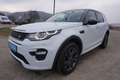Land Rover Discovery Sport 2,0 SD4 4WD SE Aut. Weiß - thumbnail 2