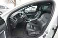 Volvo V60 D6 AWD Twin Engine Momentum R-Design Hybrid Weiß - thumbnail 15