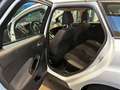 Ford Focus N1 autocarro 5 posti 1.5 tdi SW - thumbnail 8