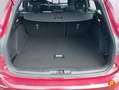Ford Focus Sportbreak 1.5 Ecoboost ST Line 150 Rojo - thumbnail 16