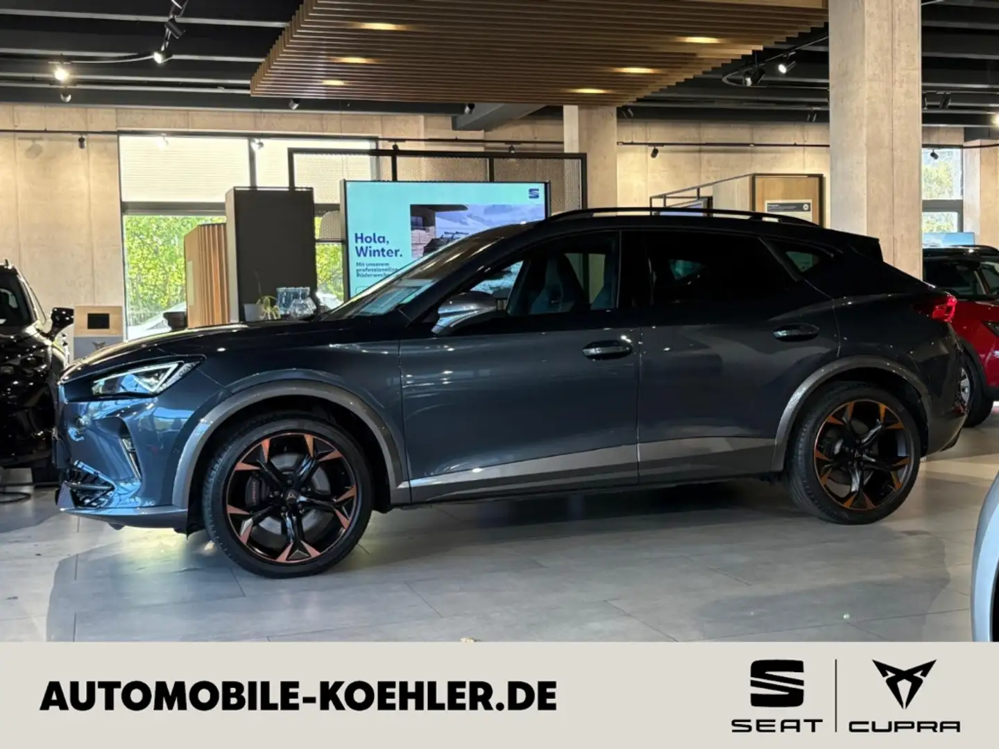 CUPRA Formentor VZ 2.0 TSI EU6d AD AHK-klappbar El. Panodach Navi Grau - 2