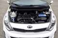 Kia Rio 1.2 CVVT DynamicL. Weiß - thumbnail 7