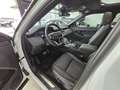 Land Rover Range Rover Evoque 2.0d mhev R-Dynamic SE Tetto C20 RDynamic Blanc - thumbnail 21