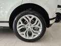 Land Rover Range Rover Evoque 2.0d mhev R-Dynamic SE Tetto C20 RDynamic Blanc - thumbnail 7