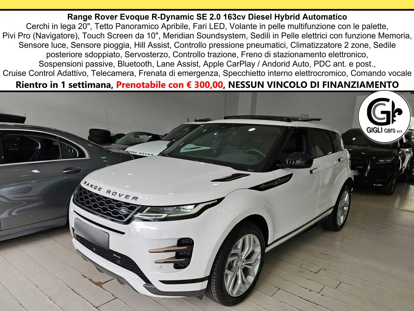 Land Rover Range Rover Evoque 2.0d mhev R-Dynamic SE Tetto C20 RDynamic Weiß - 1