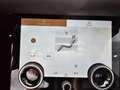 Land Rover Range Rover Evoque 2.0d mhev R-Dynamic SE Tetto C20 RDynamic Blanc - thumbnail 30