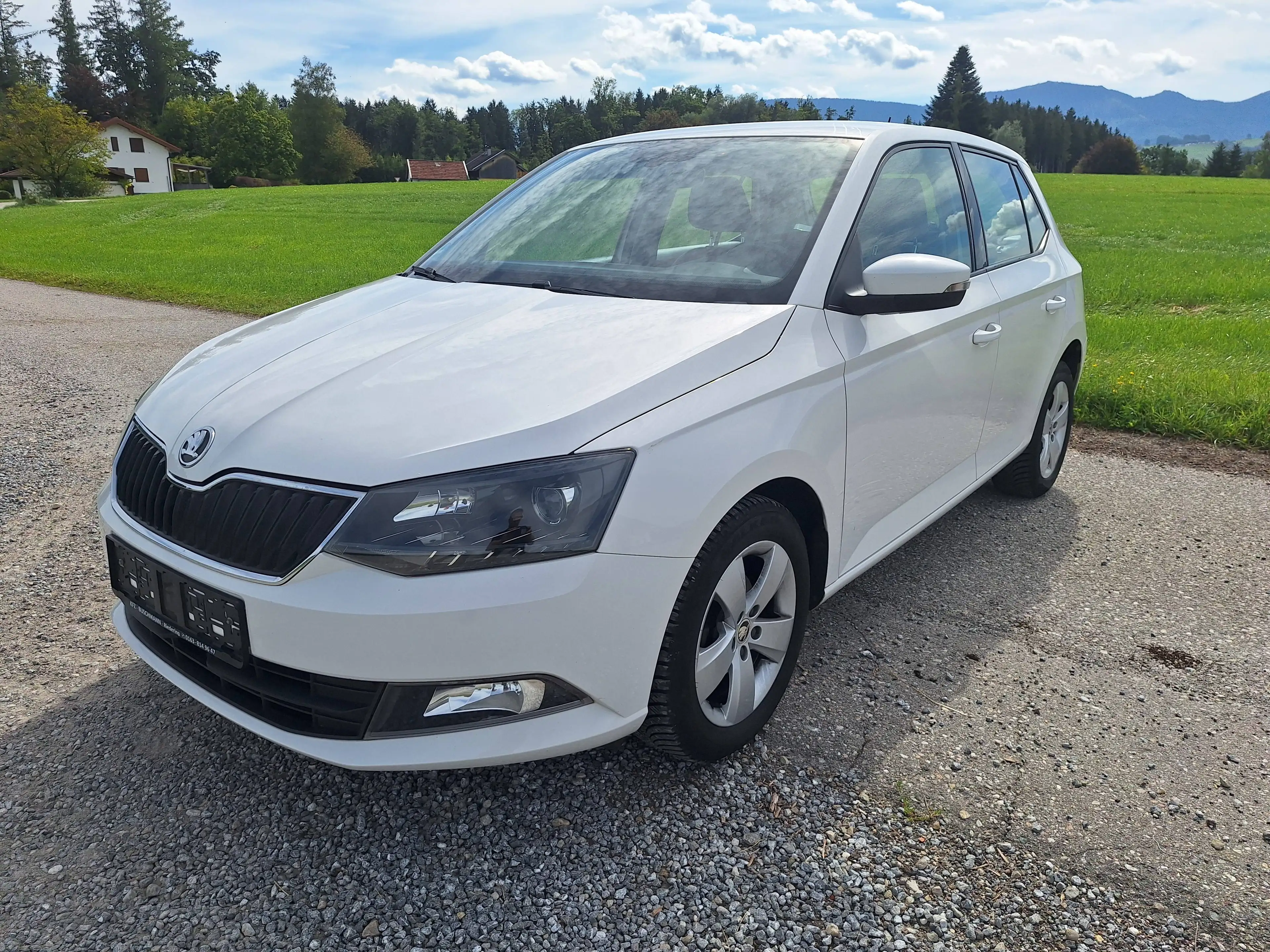 Skoda Fabia Style 1,2 TSI, Model 2017, Klima, Alu, PDC, TÜV-neu