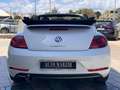 Volkswagen Maggiolino 2.0 tdi Design 110cv dsg Bianco - thumbnail 6