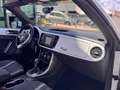 Volkswagen Maggiolino 2.0 tdi Design 110cv dsg Bianco - thumbnail 10