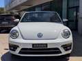 Volkswagen Maggiolino 2.0 tdi Design 110cv dsg Bianco - thumbnail 5