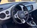 Volkswagen Maggiolino 2.0 tdi Design 110cv dsg Bianco - thumbnail 9