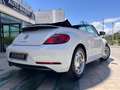 Volkswagen Maggiolino 2.0 tdi Design 110cv dsg Bianco - thumbnail 2