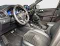 Ford Kuga 2.0 EcoBlue Aut. ST-LINE X Grau - thumbnail 8